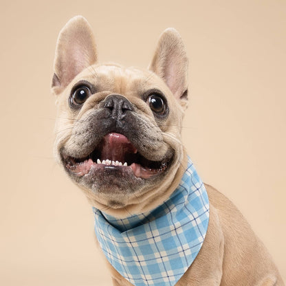 Bobbie Blue Dog Bandana