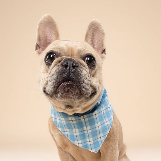 Bobbie Blue Dog Bandana