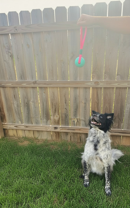 Biothane Ball Tug Toy - Standard