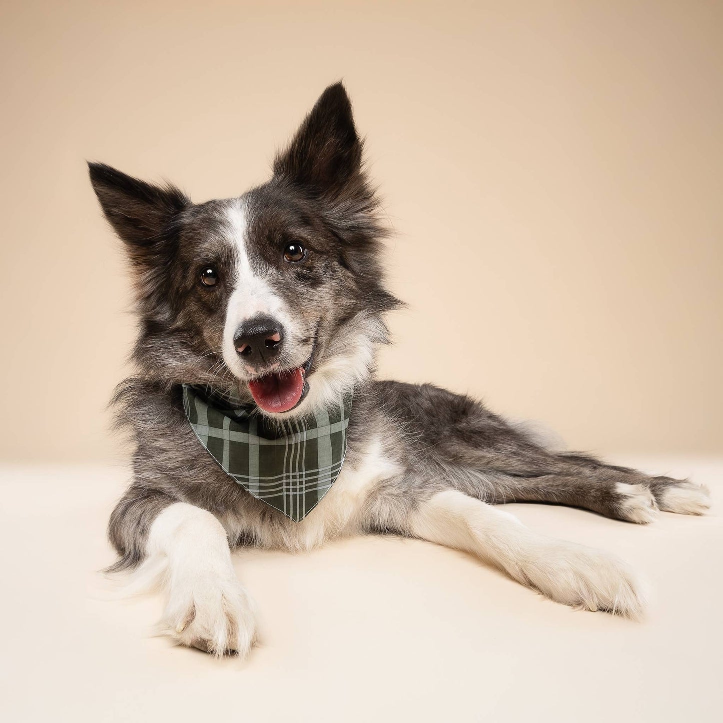 Evergreen Dog Bandana