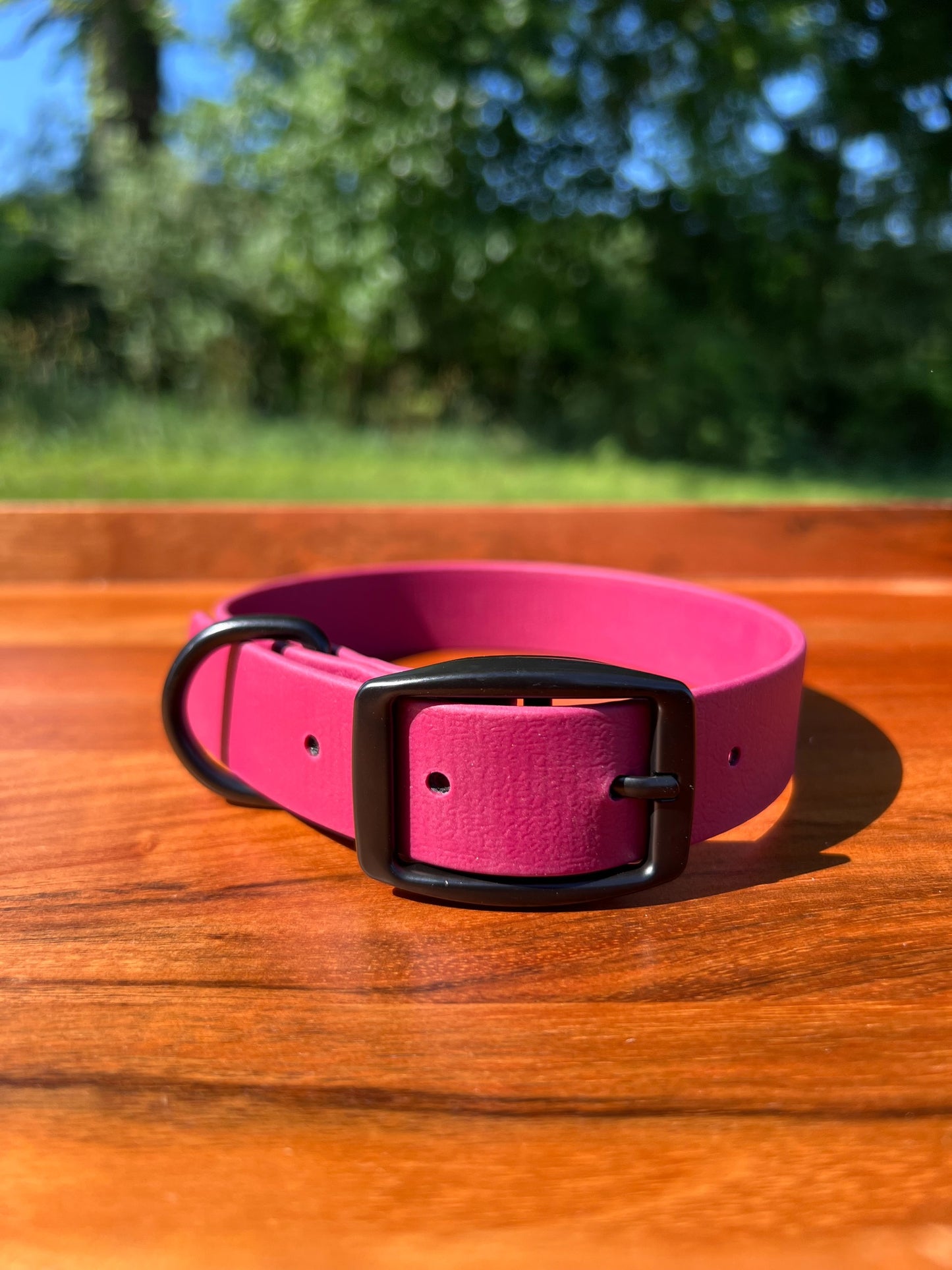 Wine Red Biothane Dog Collar