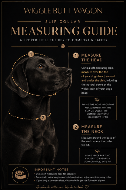 Biothane Slip Collar