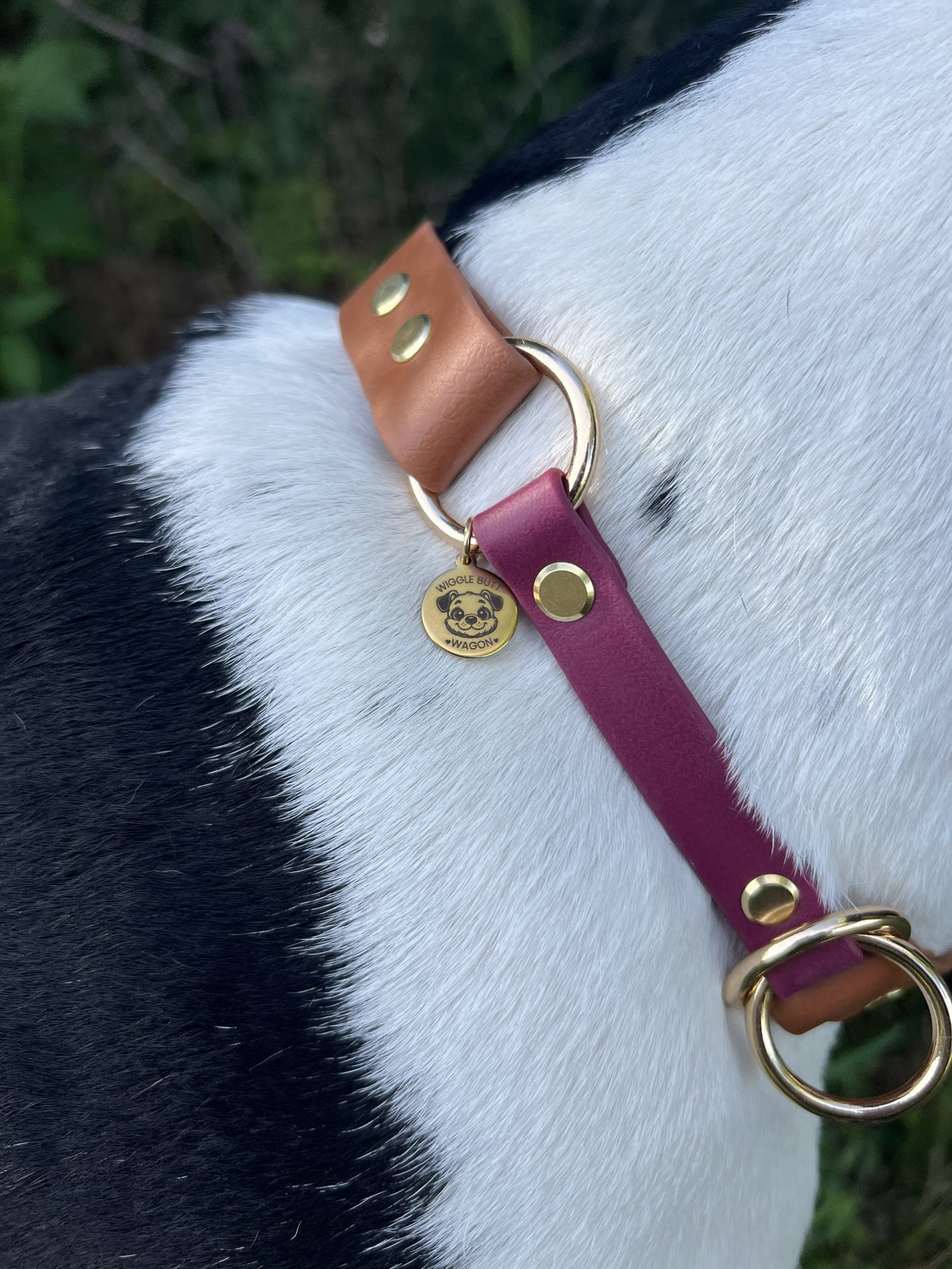 Biothane Slip Collar