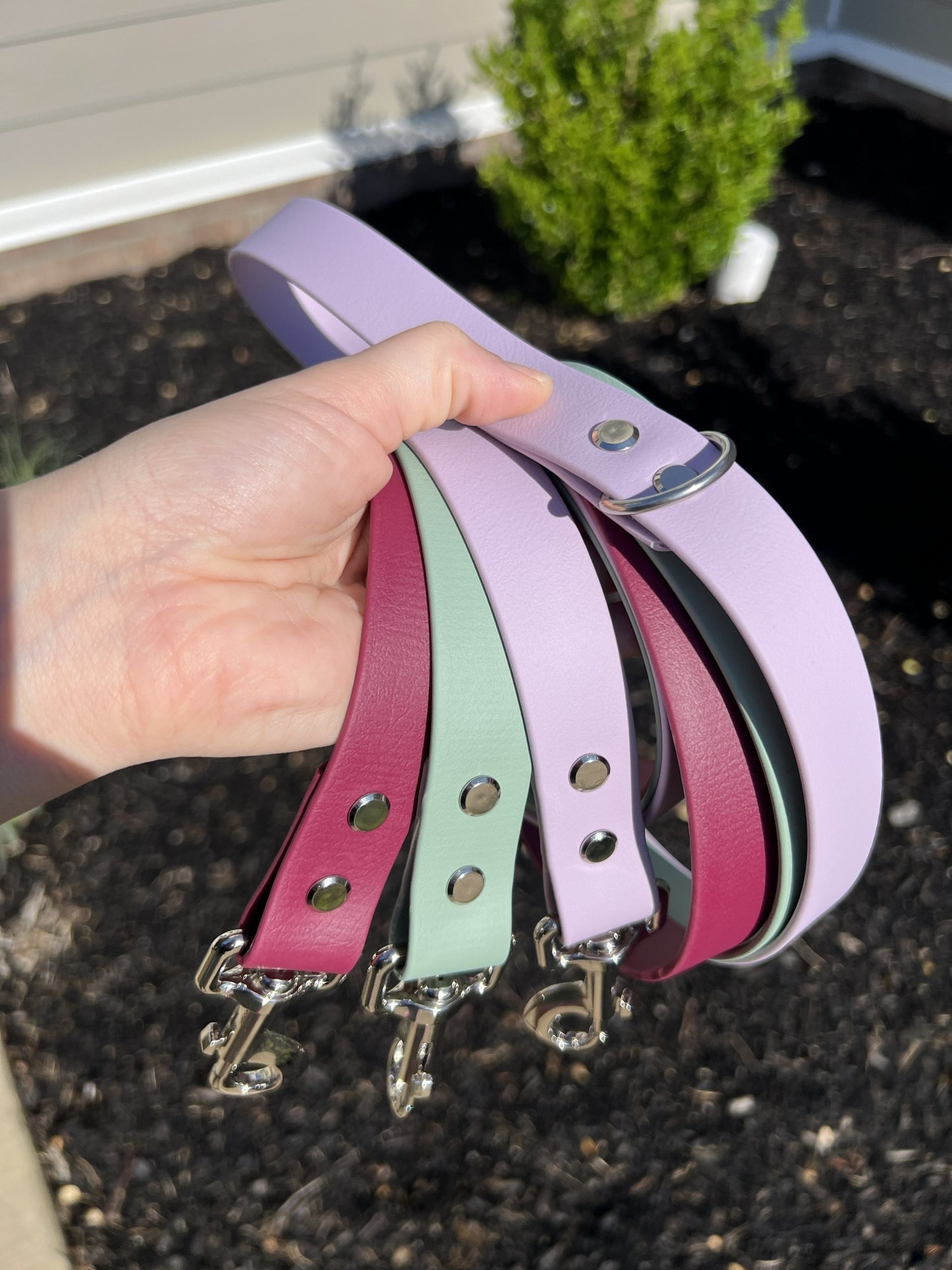 Wine Red Biothane Dog Leash