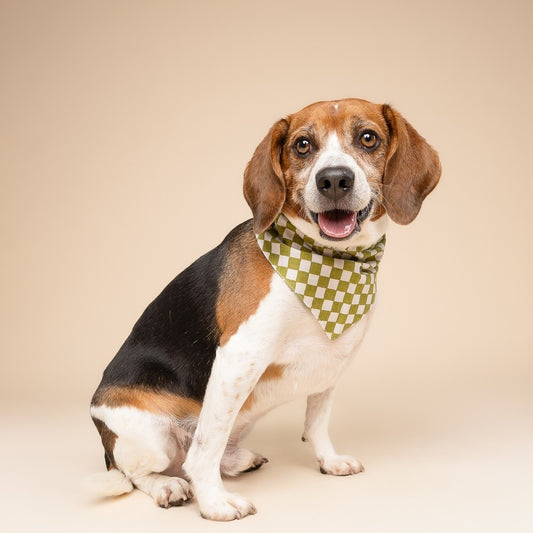 Matcha Check Dog Bandana