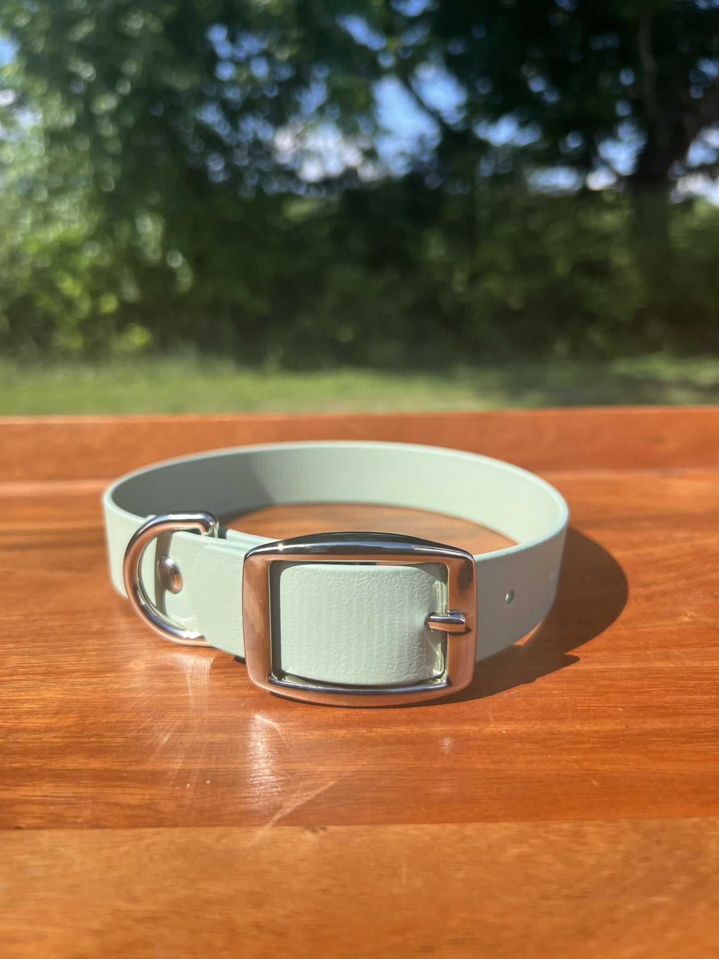 Sage Green Biothane Dog Collar