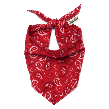 Dallas Dog Bandana