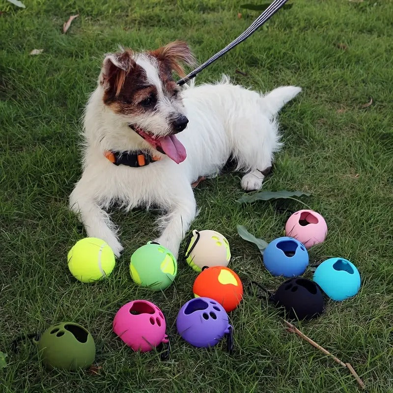 Ball Holder