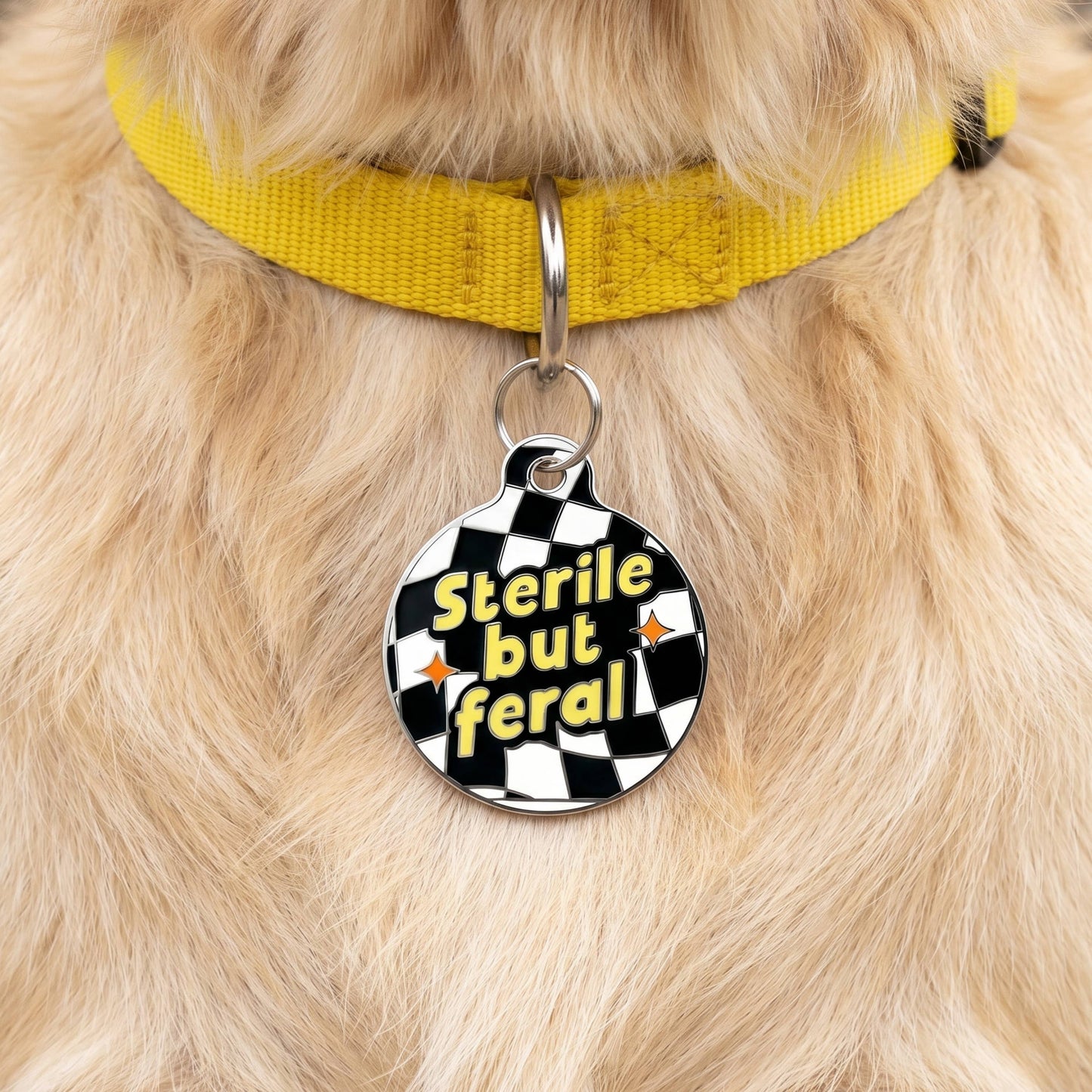 QR ID Tag - Sterile but Feral