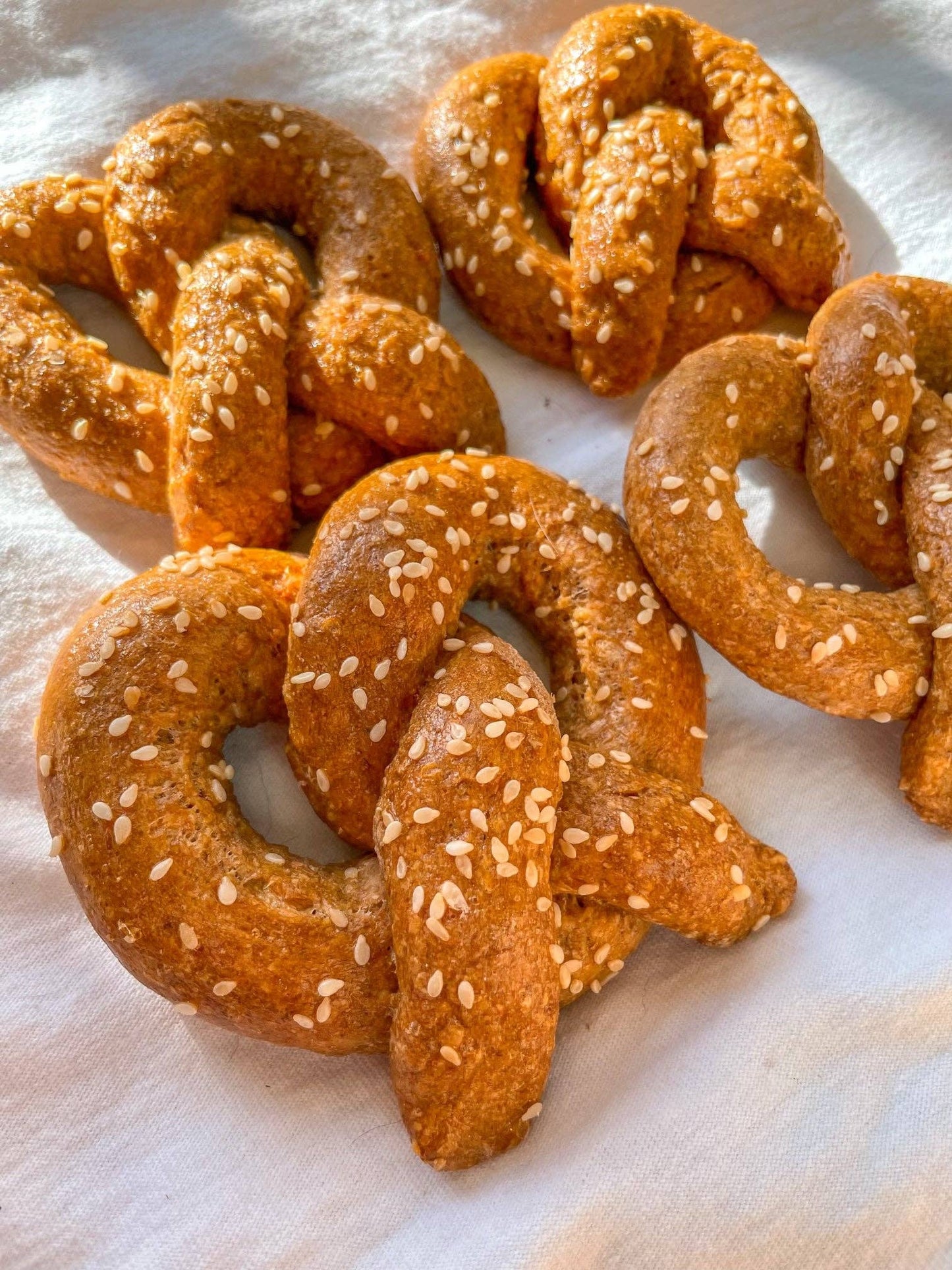 Parmesan Pretzel Dog Biscuit