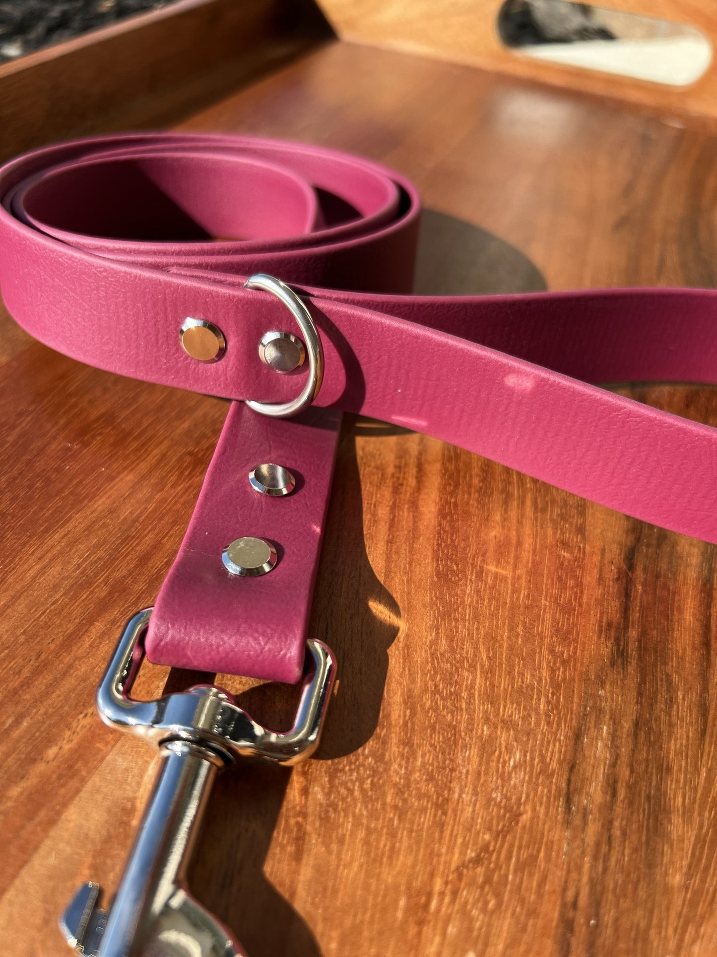Wine Red Biothane Dog Leash