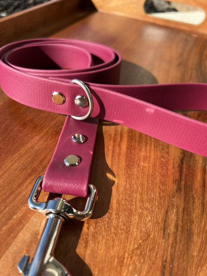 Wine Red Biothane Dog Leash