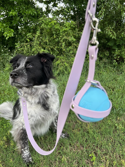 Biothane Ball Holder