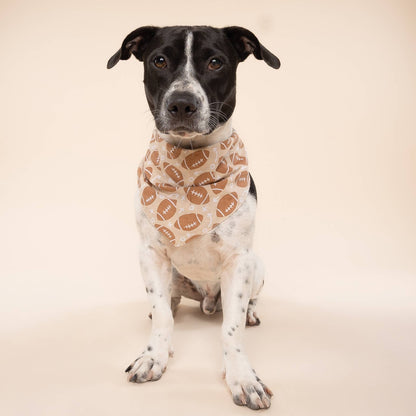 Blitz Football Dog Bandana