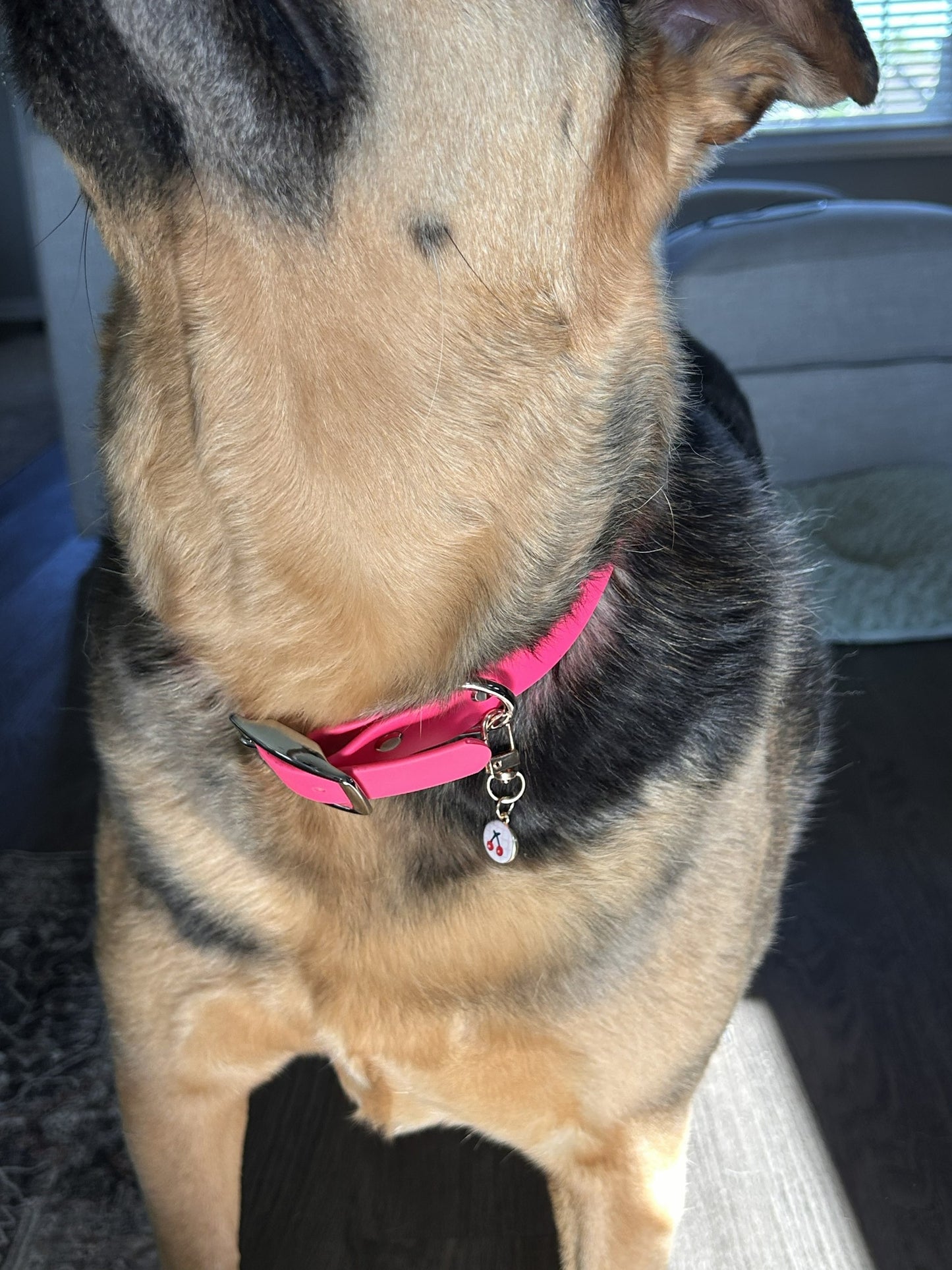 Collar Charm - Rosie Posie