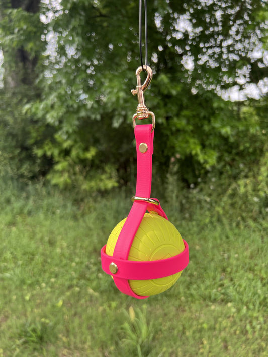 Biothane Ball Holder