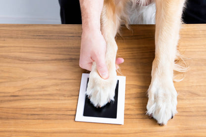 Pet Pawprint Clean-Touch Ink Pad