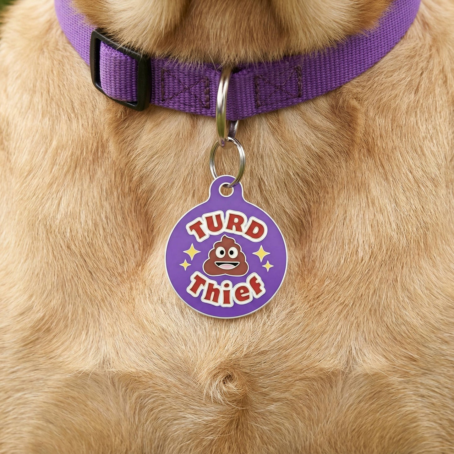 QR ID Tag - Turd Thief