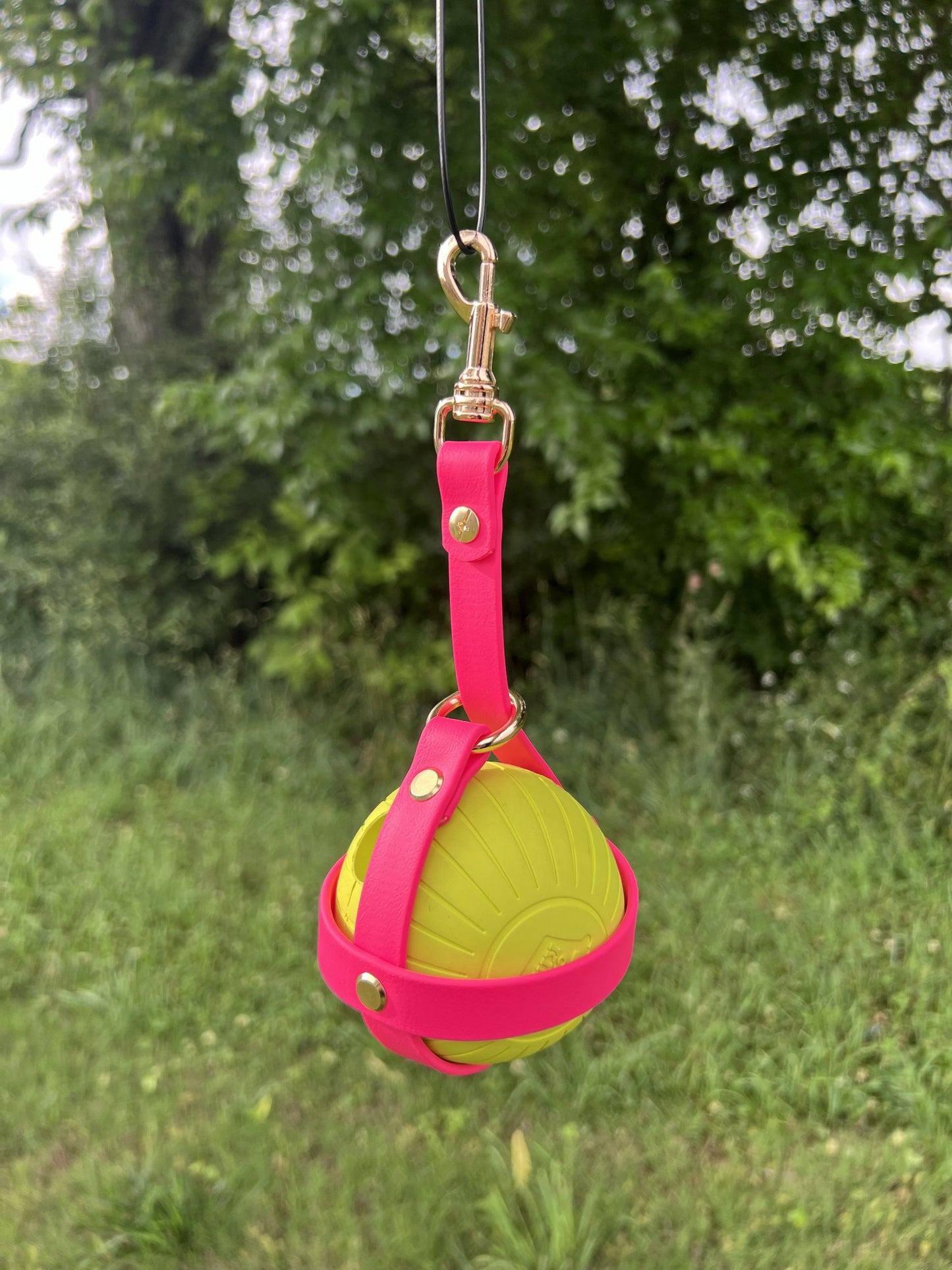 Biothane Ball Holder