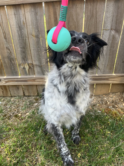 Biothane Ball Tug Toy - Standard