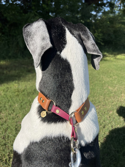 Biothane Slip Collar