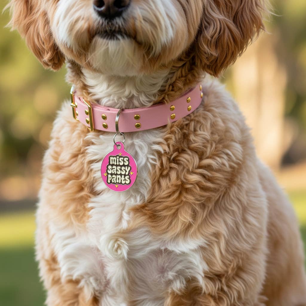 QR ID Tag - Miss Sassy Pants