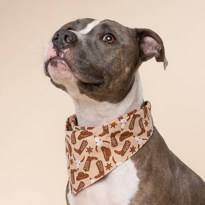 Bronco Dog Bandana
