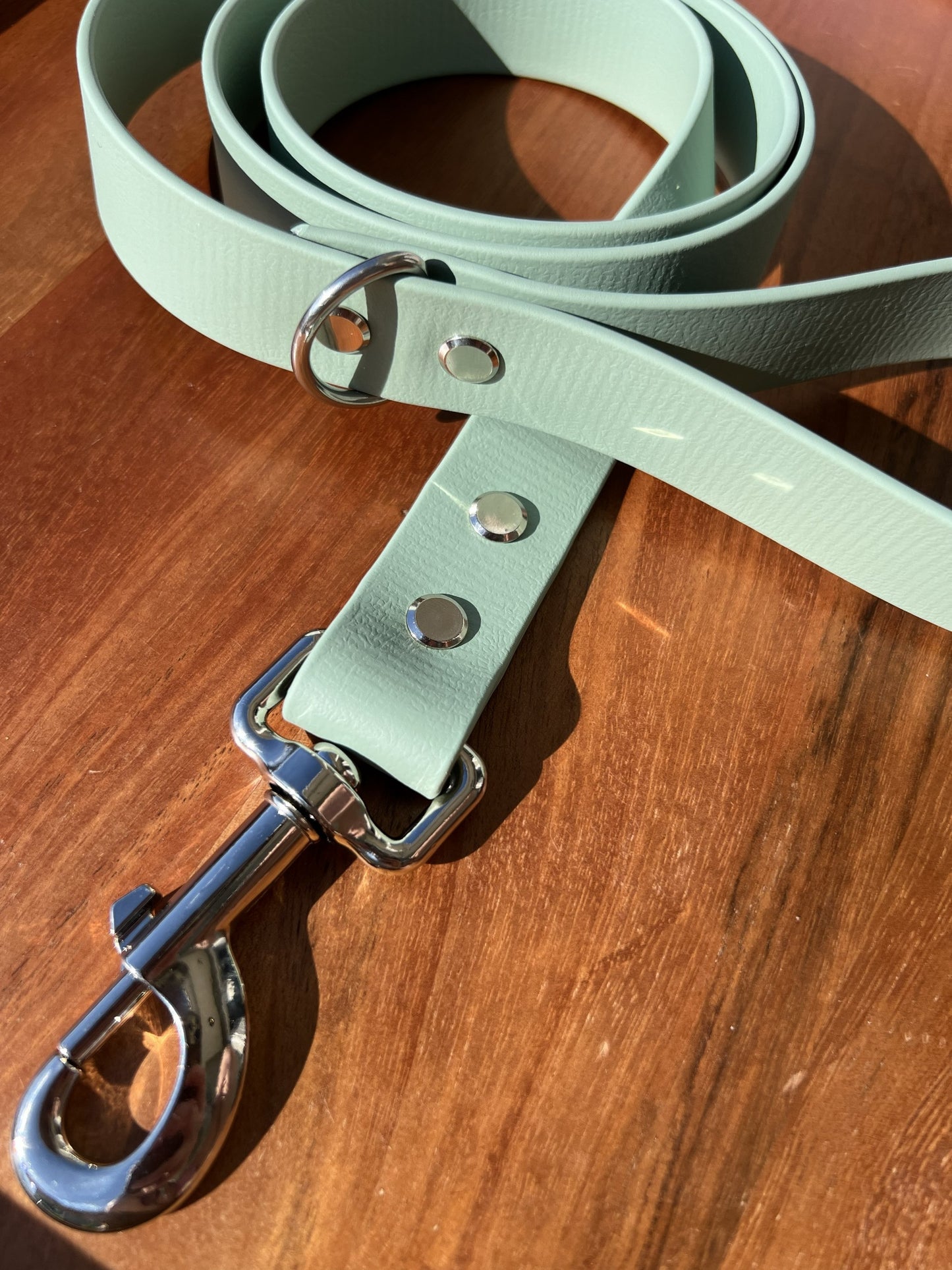 Sage Green Biothane Dog Leash