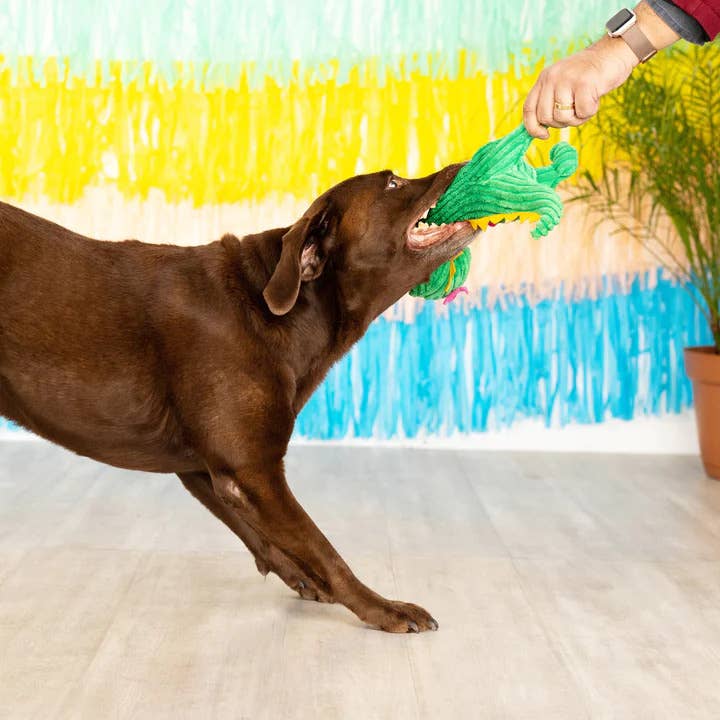 Bonita T-Rex PetShop by Fringe Studio Plush Dog Toy