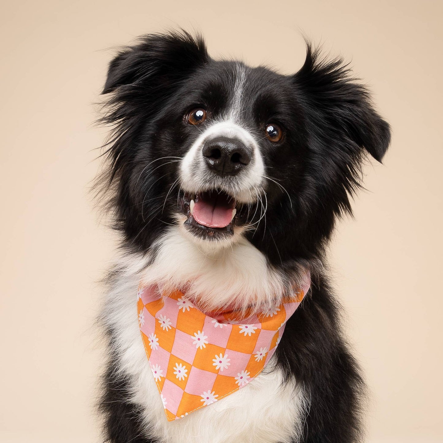 Hula Daisy Dog Bandana