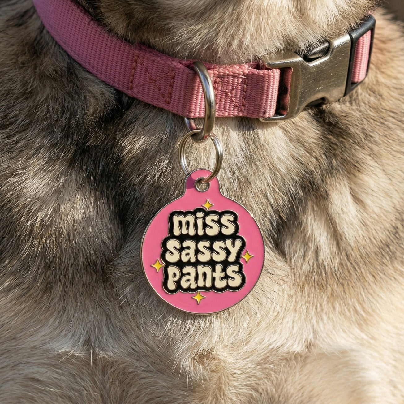 QR ID Tag - Miss Sassy Pants