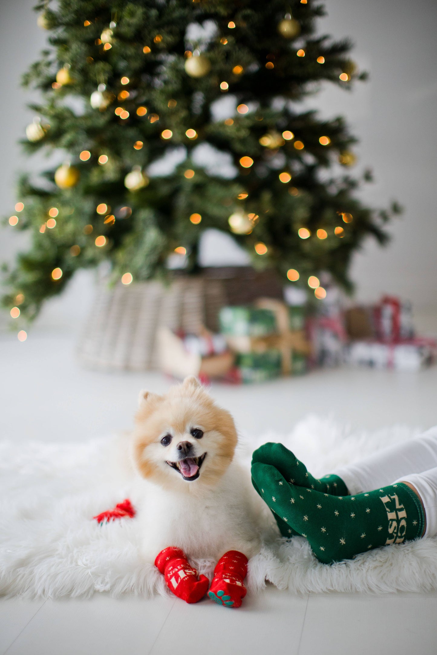 Nice List / Naughty List Matching Christmas Sock Set