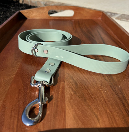 Sage Green Biothane Dog Leash