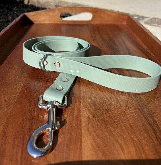Sage Green Biothane Dog Leash