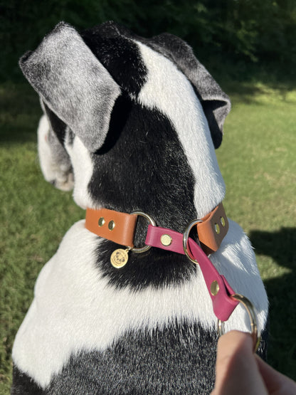 Biothane Slip Collar