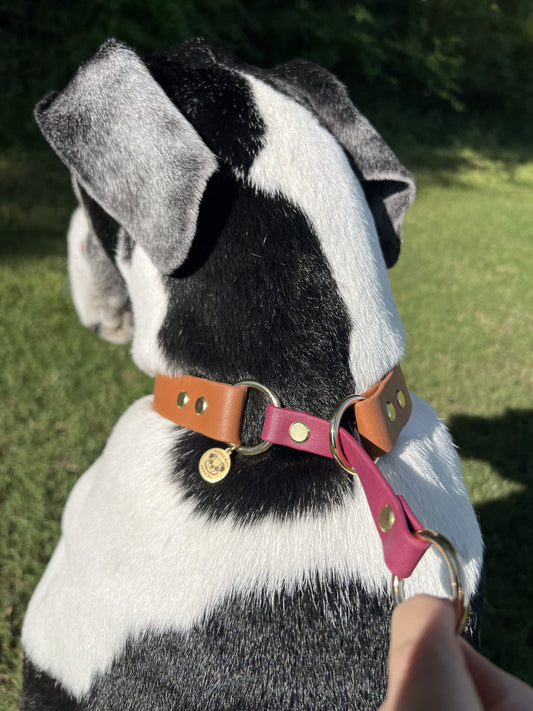 Biothane Slip Collar