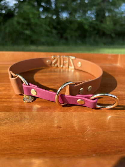 Biothane Slip Collar