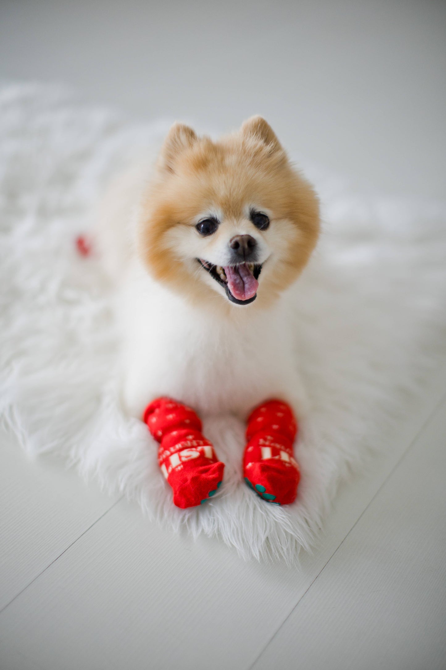 Nice List / Naughty List Matching Christmas Sock Set