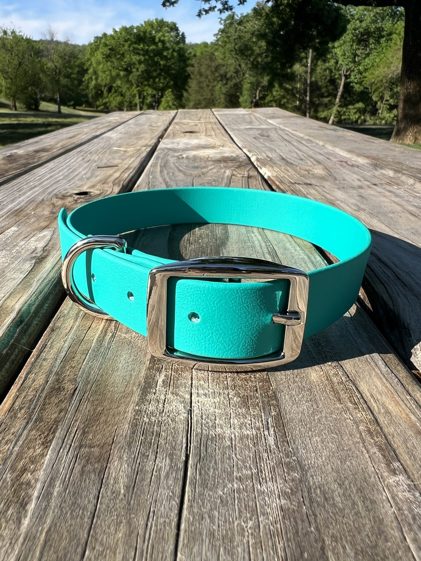 Teal Biothane Dog Collar