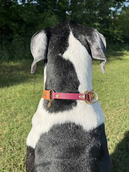 Biothane Slip Collar