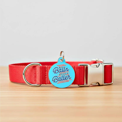 QR ID Tag - No Balls Still a Baller