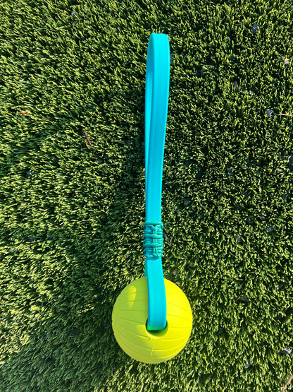 Biothane Ball Tug Toy - Supreme