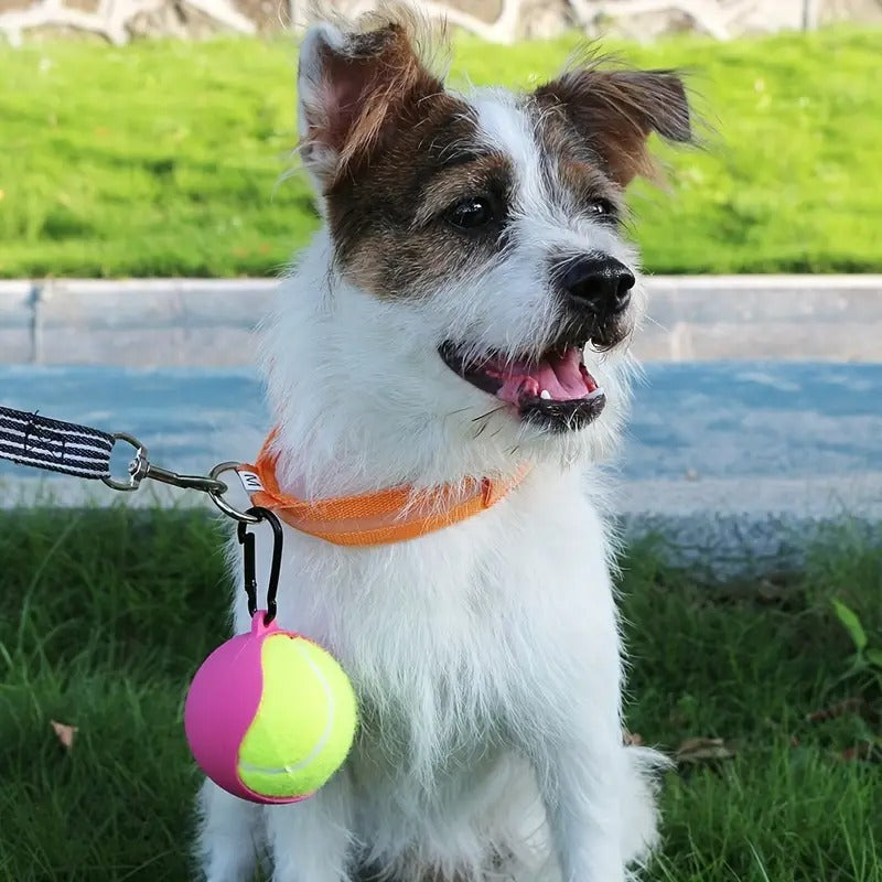 Ball Holder