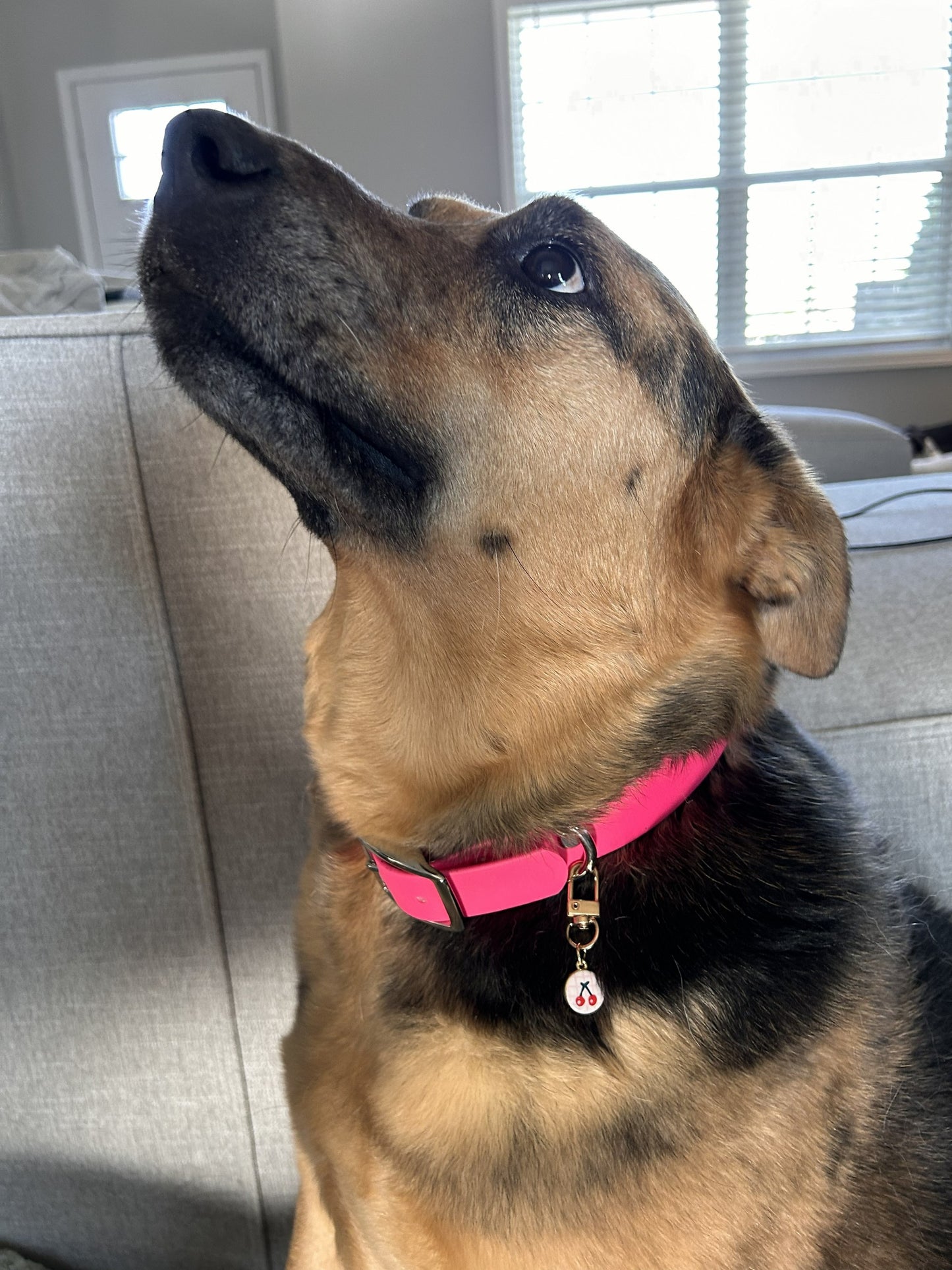 Collar Charm - Rosie Posie