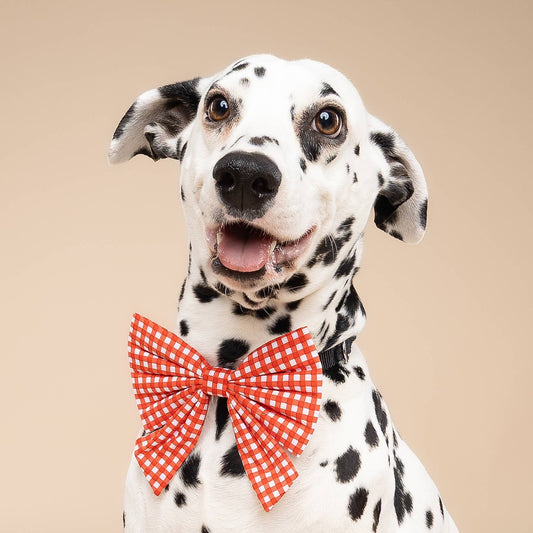 Sailor Bow - Red Gingham