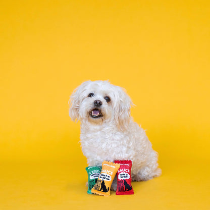 Howling Hot Sauce Plush Dog Toy Set (3pc)