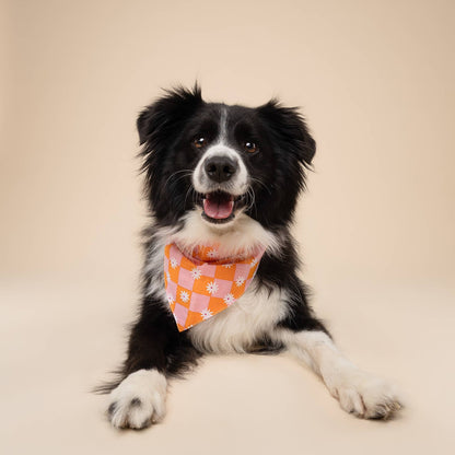 Hula Daisy Dog Bandana
