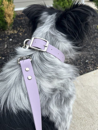 Lavender Biothane Dog Collar