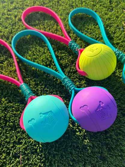 Biothane Ball Tug Toy - Supreme