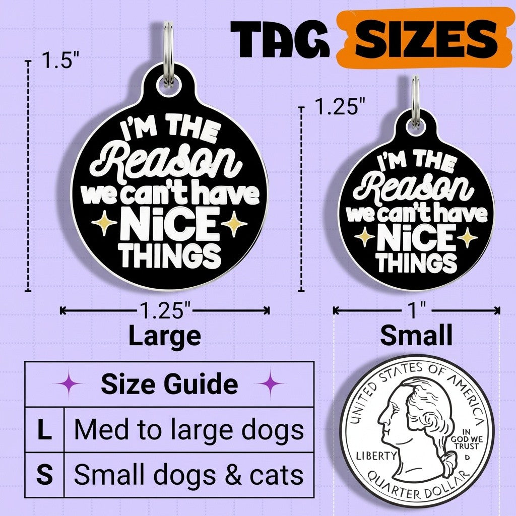 QR ID Tag - I'm The Reason We Can't Have Nice Things